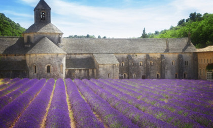 Grad na steni: Ovo mesto u Provansi osvaja turiste svojim bajkovitim poljima lavande i bogatom istorijom (FOTO)