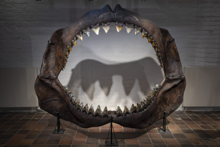 Otvorili su stari sef tokom renoviranja kuće, a ono što su pronašli u njemu niko nije očekivao (VIDEO)