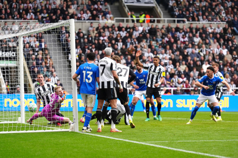 Došlo vreme za rastanak: Jedna "svraka" napušta "jato" (VIDEO)