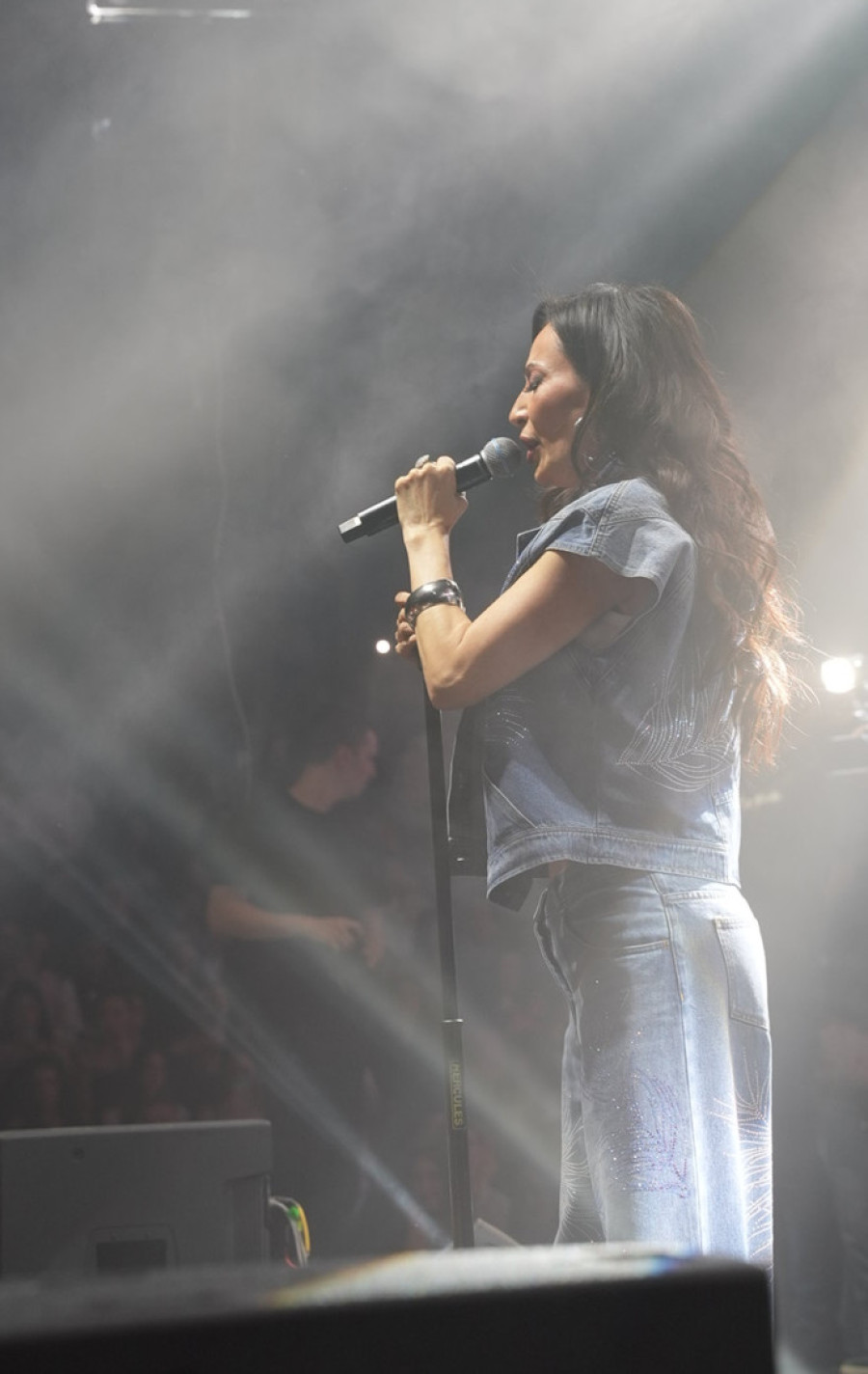 Ceca povela malog Željka sa sobom na koncert! Mališan ovu pesmu zapevao kao od šale