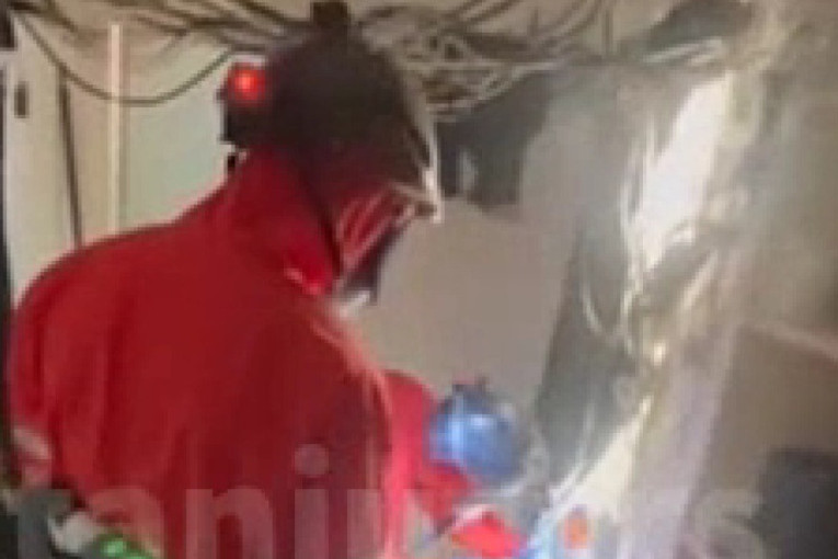 Zvezdara puna droge! U dva stana pronađeno 350 biljaka i desetine kilograma kanabisa (VIDEO)