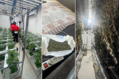 Zvezdara puna droge! U dva stana pronađeno 350 biljaka i desetine kilograma kanabisa (VIDEO)