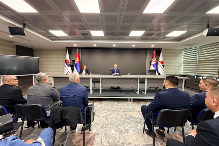 Vučević sa predstavnicima Roma povodom Međunarodnog dana, 8. aprila