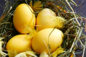 Prirodno je zdravije: Ofarbajte jaja u žuto bez štetnih supstanci iz kupovnih boja