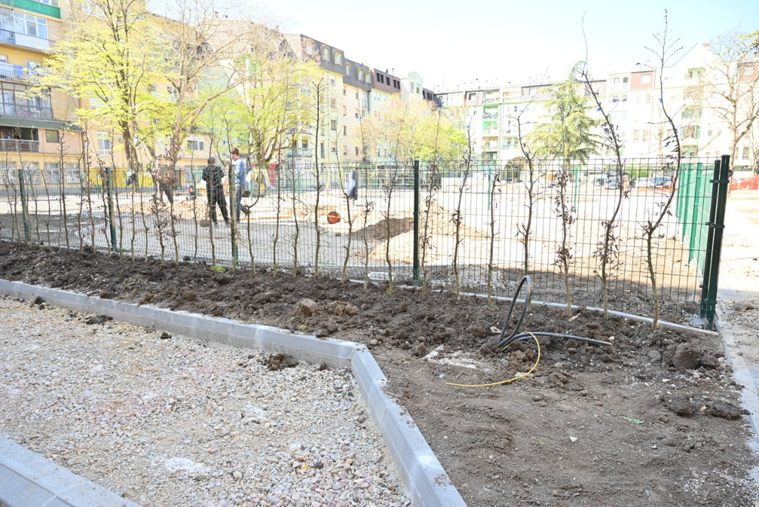 Veliko sređivanje u Rumi: U "Apoteci" hrast i japanski bagrem, a ovo je plan za "Kulu"