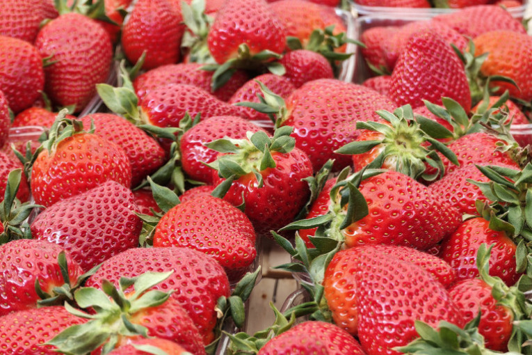 Detaljan spisak: Ko radi za praznike, a gde su zatvorena vrata