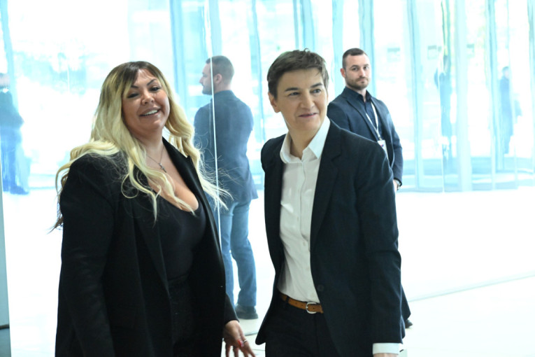 Sednica Glavnog odbora SNS: Prisustvuju Miloš Vučević, Ana Brnabić, Siniša Mali i Darko Glišić! (FOTO/VIDEO)