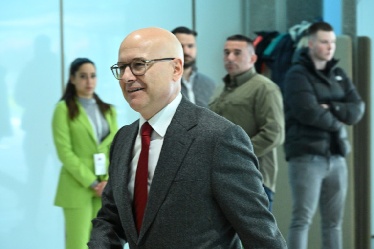 Vrh SNS-a stigao na sastanak: Među prvima u Sava Centar došli Vučević, Brnabić, Mali – sledi sednica Predsedništva i Glavnog odbora stranke!