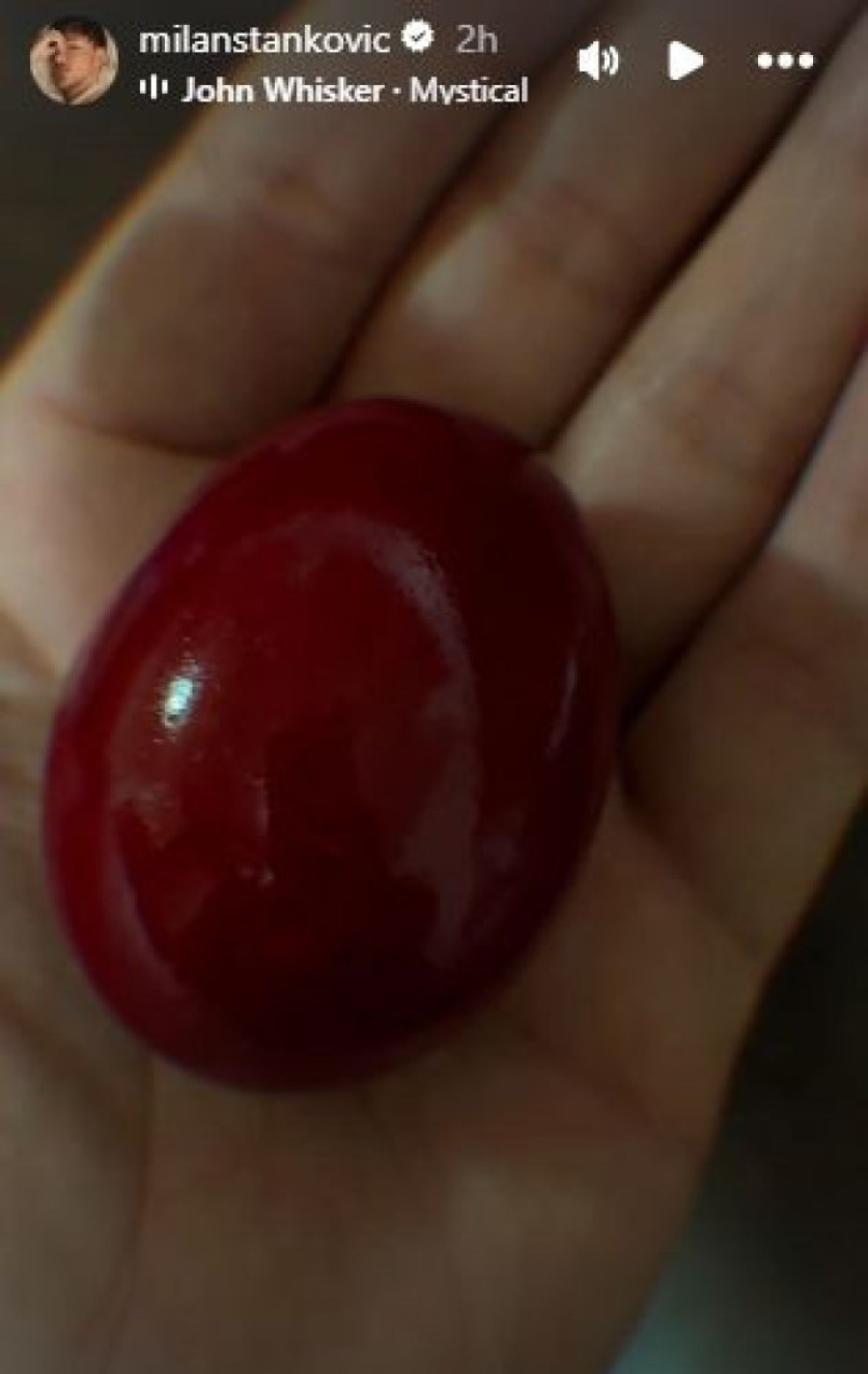 Milan Stanković na Veliki petak prekinuo tišinu: Jednim potezom pobrao je sve simpatije! (FOTO)