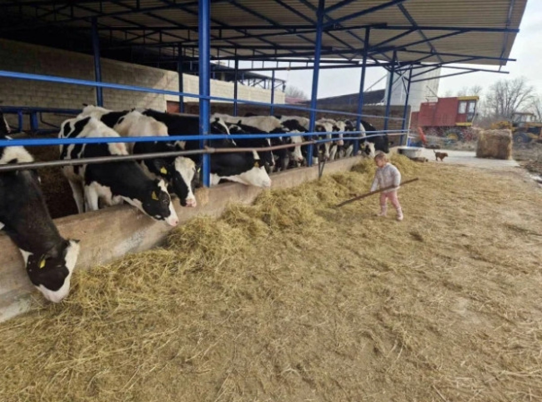 Ustaje u pola šest i uživa u svakom danu: Ovo je ženska priča sa farme u Kovinu (FOTO)