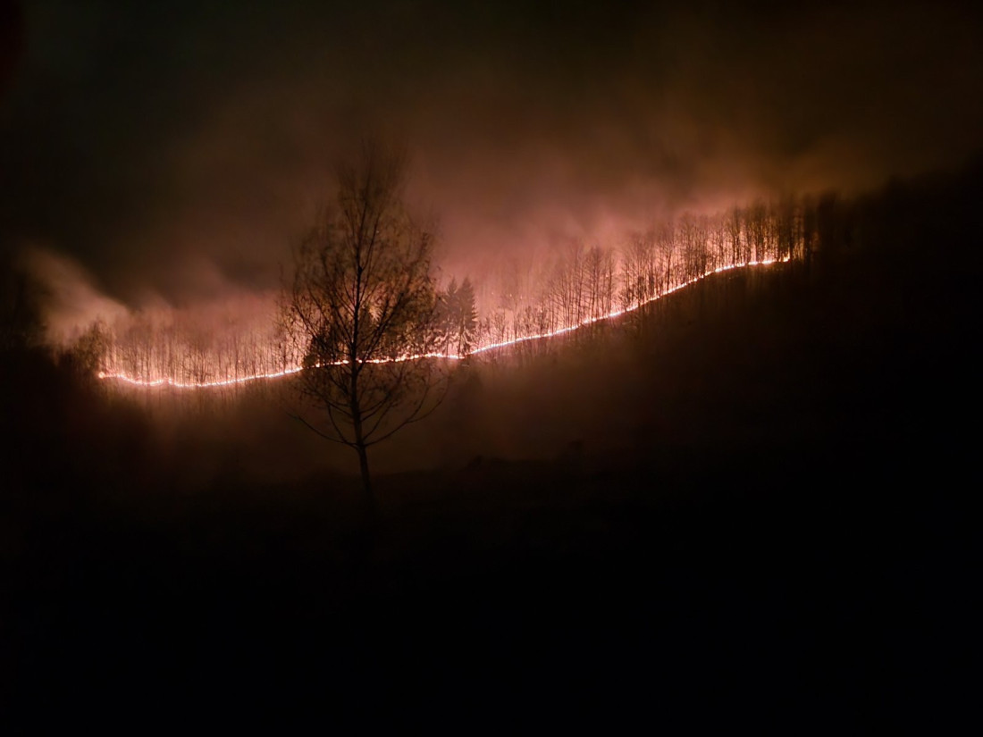 Šumski požari bukte kod Bijelog Polja, bili ugroženi i objekti: Od srede na terenu i mobilni tim (FOTO)