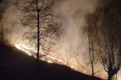 Šumski požari bukte kod Bijelog Polja, bili ugroženi i objekti: Od srede na terenu i mobilni tim (FOTO)