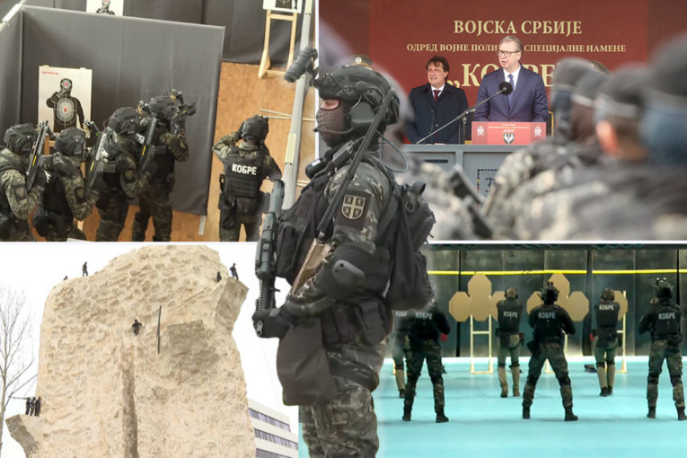 Još i danas zamiriše trešnja: Mirko iz Čačka posadio drvo pre 33 godine, sada ponosno stoji ispred gorostasa (FOTO)