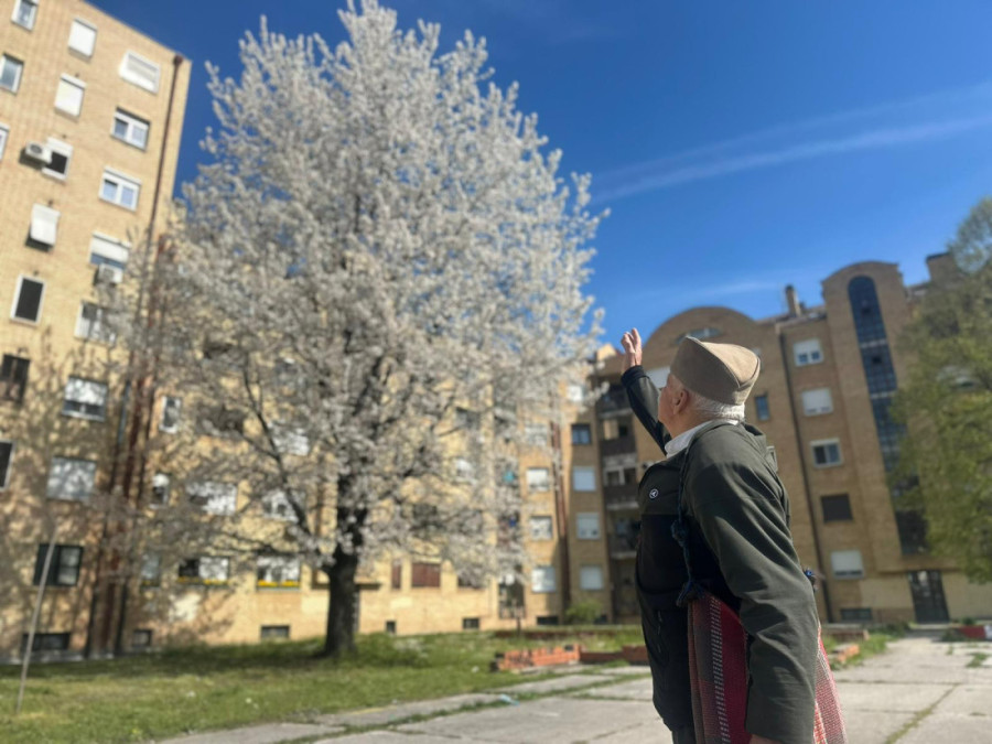 Šok scena na auto-putu: Kamion buknuo, vozači stajali u koloni