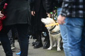 Tužno, pretužno: I pas porodice Vujošević bio na Duškovoj sahrani (FOTO)