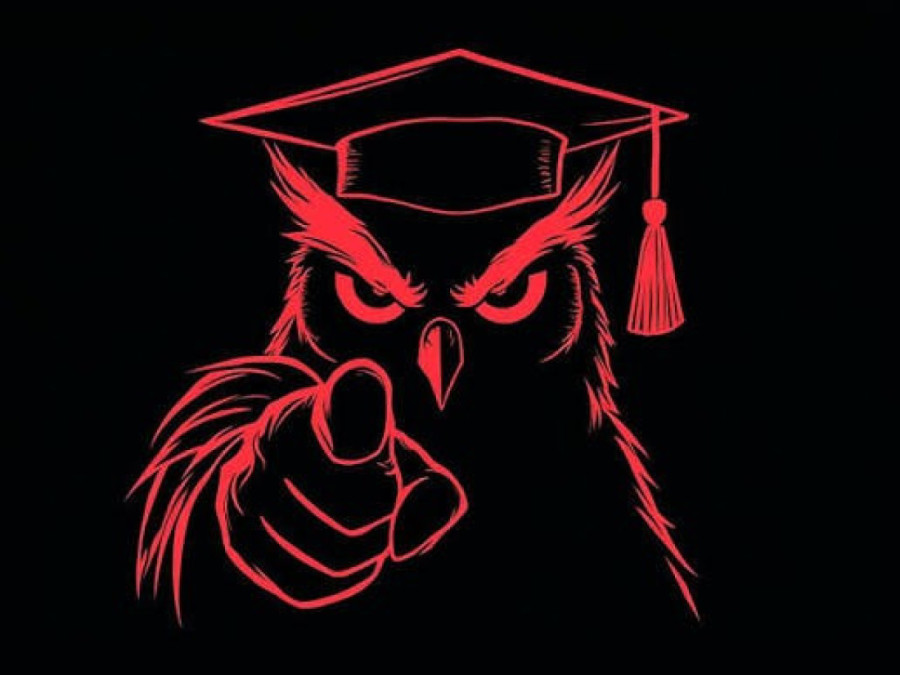 Ko je zapravo pobedio na izborima u Mađarskoj? Soroš i Rotšild otvoreno slave rušenje mađarske države