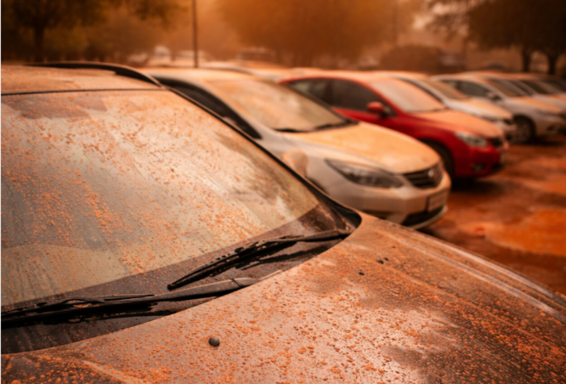 Ratko Mladić imao moždani udar! Oglasio se sin Darko: U teškom je stanju