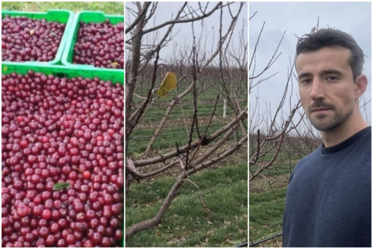 Er Srbija pokreće zvanični Viber kanal kako bi unapredila komunikaciju sa putnicima