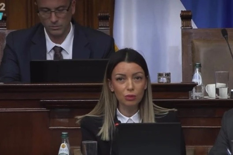 "Srbija je na putu evropskih integracija" Mesarović: Naša zemlja je uvažena u svetu, sami donosimo svoje odluke