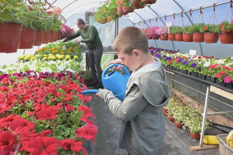Počeli sa jednim plastenikom, a sada imaju rasadnik za ponos: Tabaševići i Jusovići bave se proizvodnjom cveća - može da se zaradi (FOTO)