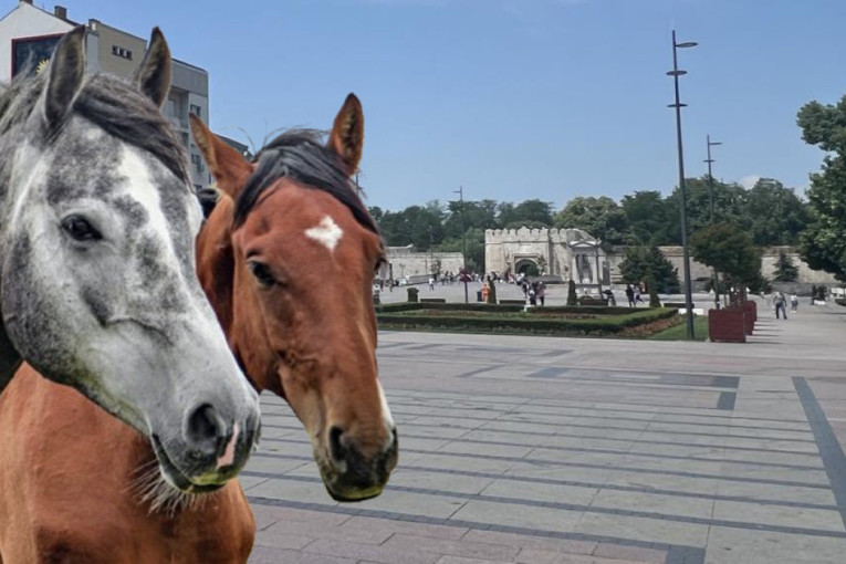 Konji ležerno šetaju centrom grada: Građani zbunjeni, događaj izazvao lavinu komentara (VIDEO)