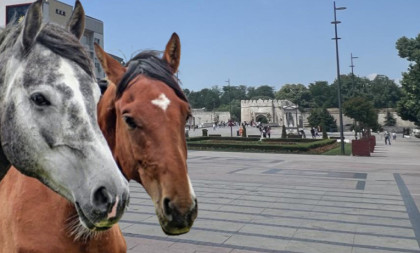 Konji ležerno šetaju centrom grada: Građani zbunjeni, događaj izazvao lavinu komentara (VIDEO)
