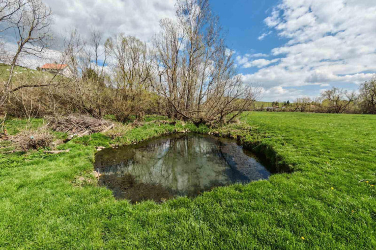 Ovo selo leži na termalnom blagu, nazivaju ih još i čedovske banjice: Decenijama se meštani leče na ovim izvorima