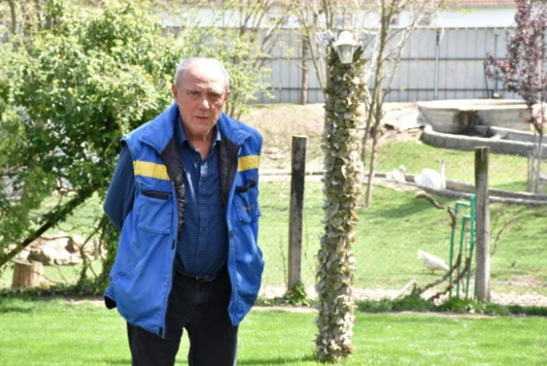 Penzioner uzgaja travu: Niko neće da radi, a prodaje se za malo bogatstvo (FOTO)