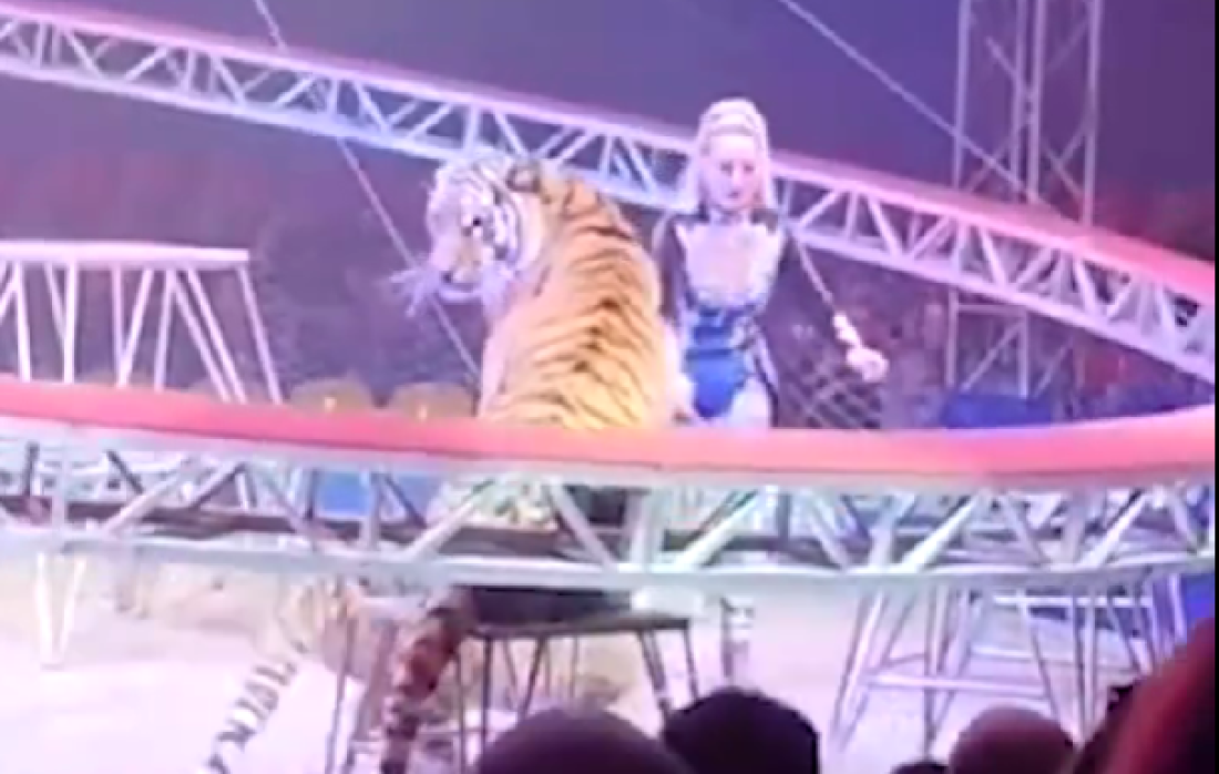 Jovanov: Od Stefanovića ne očekujem da hvali Srbiju, problem ako dođu na vlast