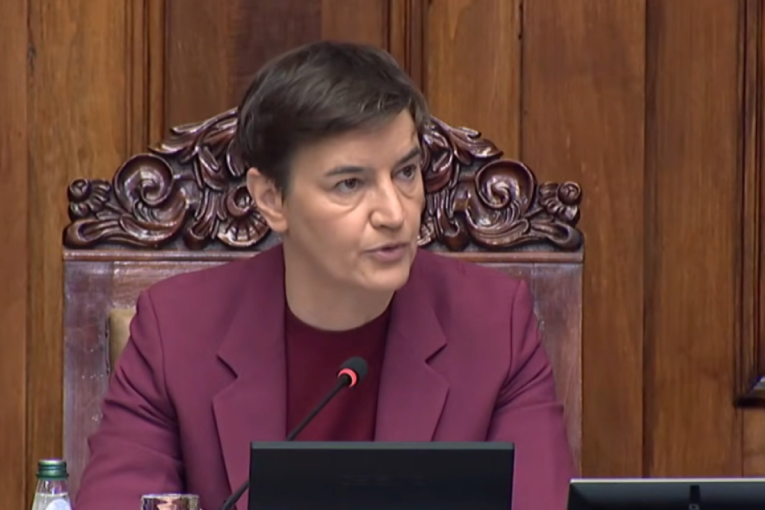 Brnabić se sastala predsednikom Predstavničkog doma Parlamenta Češke