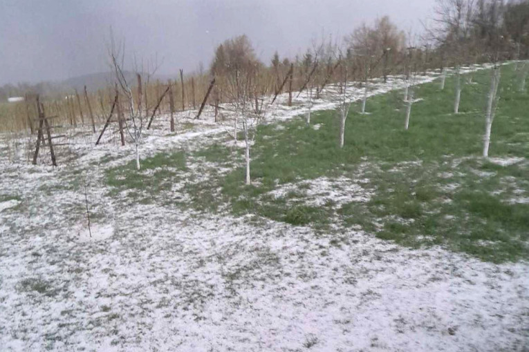 Haos kod Prijepolja: Grad tukao 15 minuta, šteta ogromna (VIDEO)