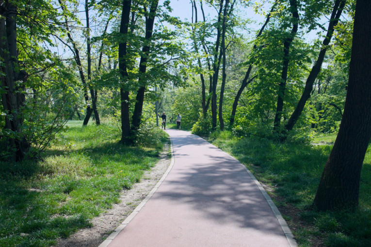 Trim staza na Košutnjaku dobija novi izgled i još bolje uslove za vežbanje
