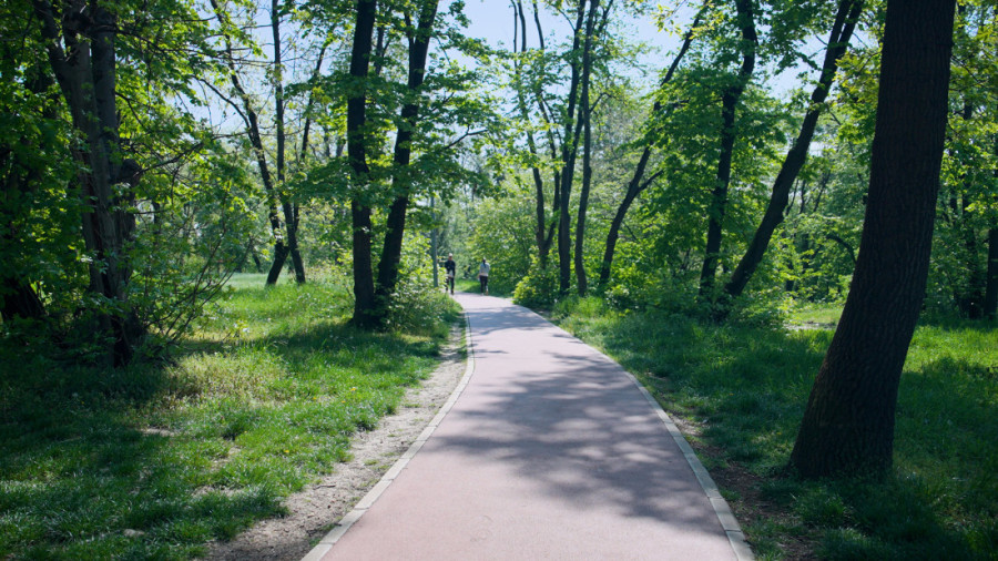 Fenomen koji je zaludeo Srbe: Građani masovno jure da vide ovu pojavu!