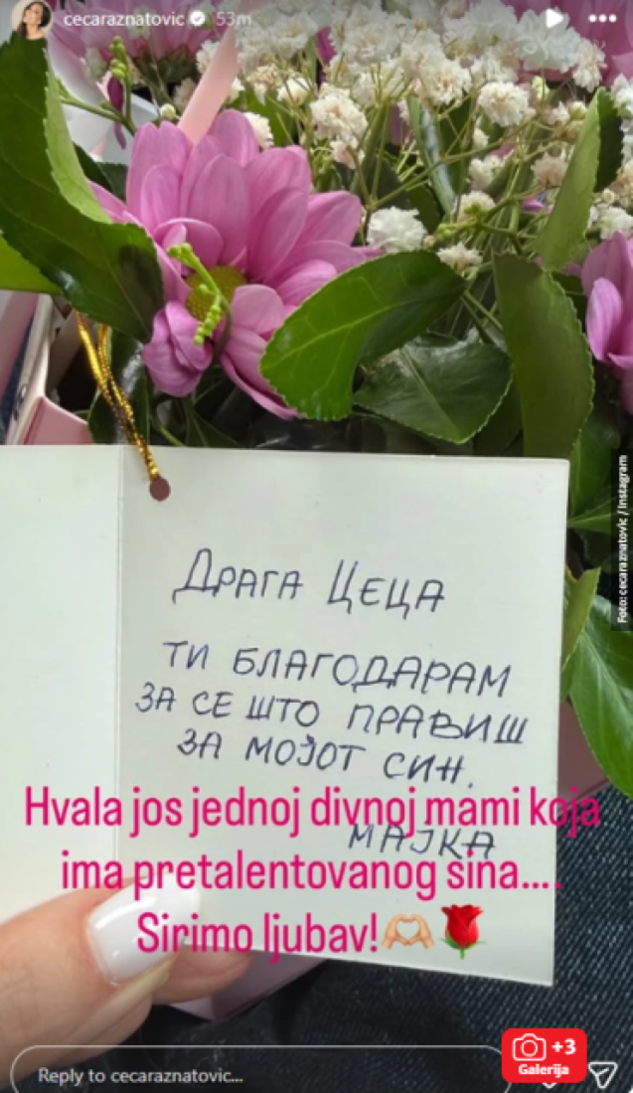 Ceca se pohvalila buketom! Nije krila oduševljenje - "Širimo ljubav!"