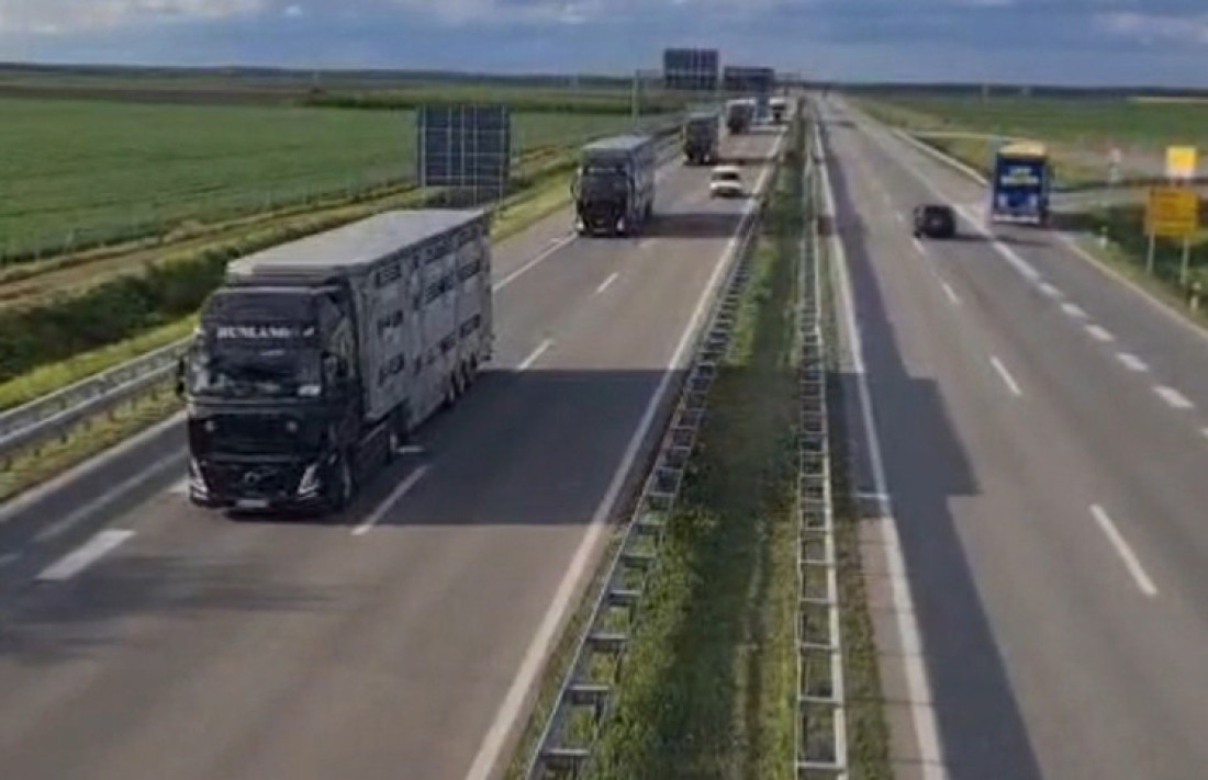 Otvoreno još jedno tržište: Srbija izvezla 8.000 jagnjadi u Libiju