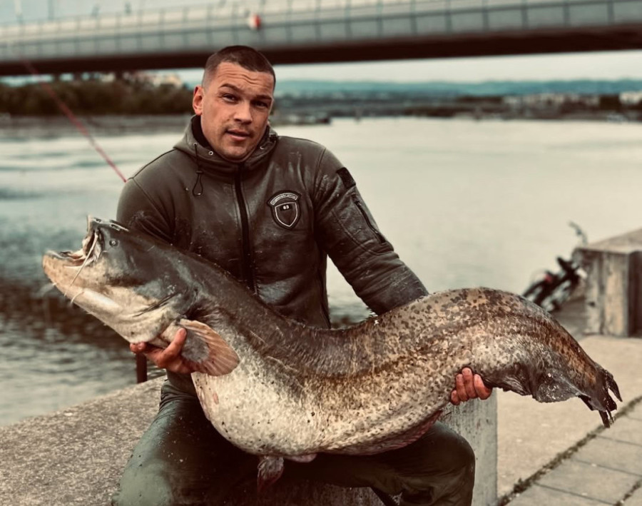 Udes sa stranim vozačem u Srbiji: Kako se naplaćuje šteta i koliko dugo traje postupak?