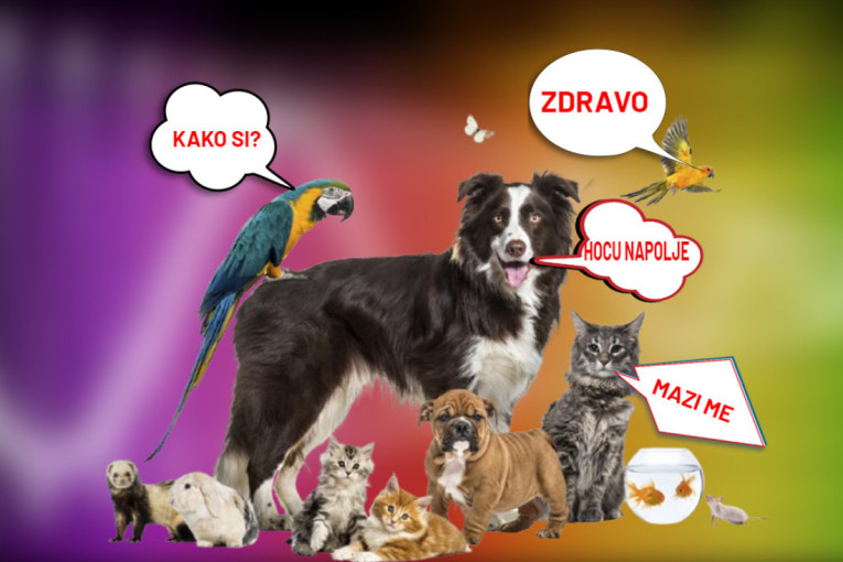 Meta uvodi veliku promenu: Roditelji sada mogu da vide o čemu njihova deca pričaju sa veštačkom inteligencijom