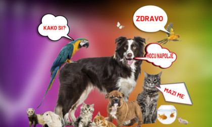 Revolucija u nauci: Veštačka inteligencija uspeva da dešifruje tajni jezik životinja