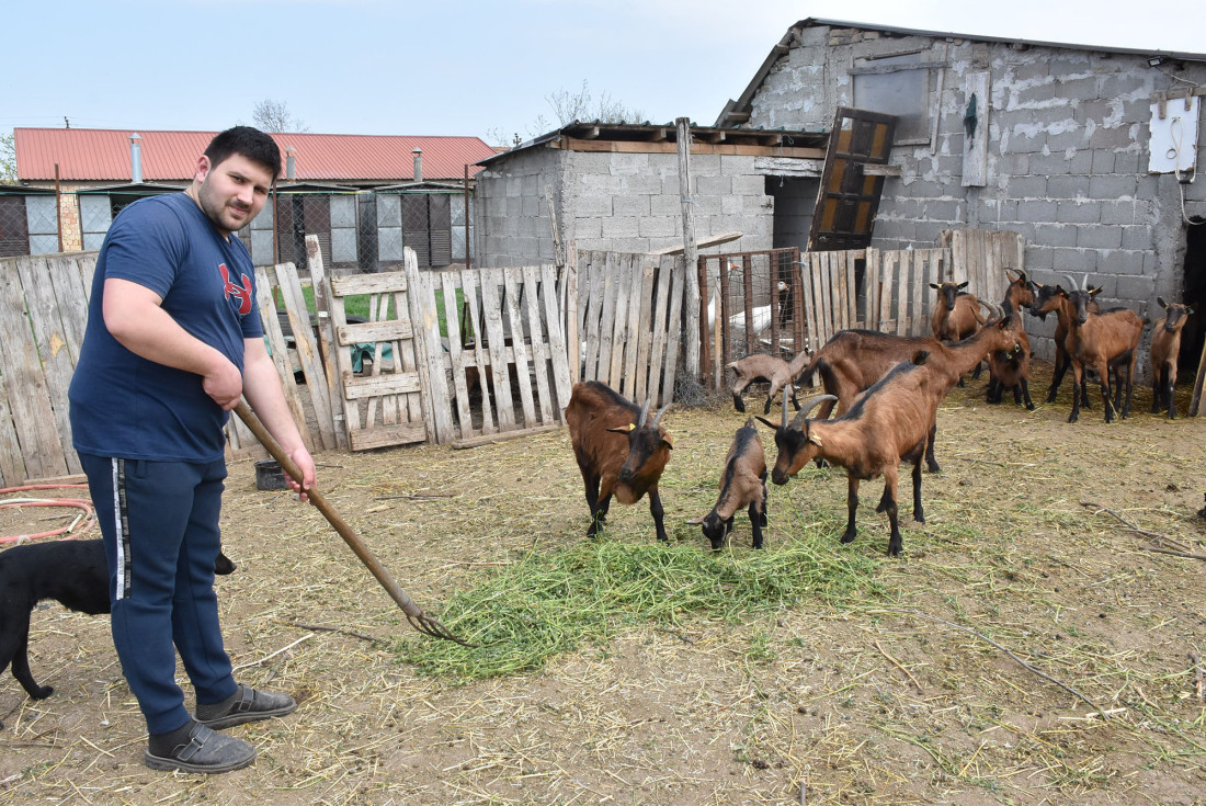 Jedinstvena farma alpskih koza u Golubincima: Ovo je priča o vrhunskim sirevima (FOTO)
