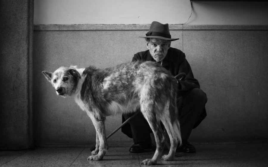 Slavni reditelj se usudio da kultni roman pretoči u film: "Stranac" Albera Kamija u domaćim bioskopima (FOTO/VIDEO)