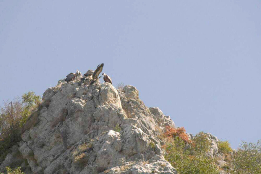 Možete spojiti čak devet slobodnih dana za prvomajske praznike: Evo i kako!