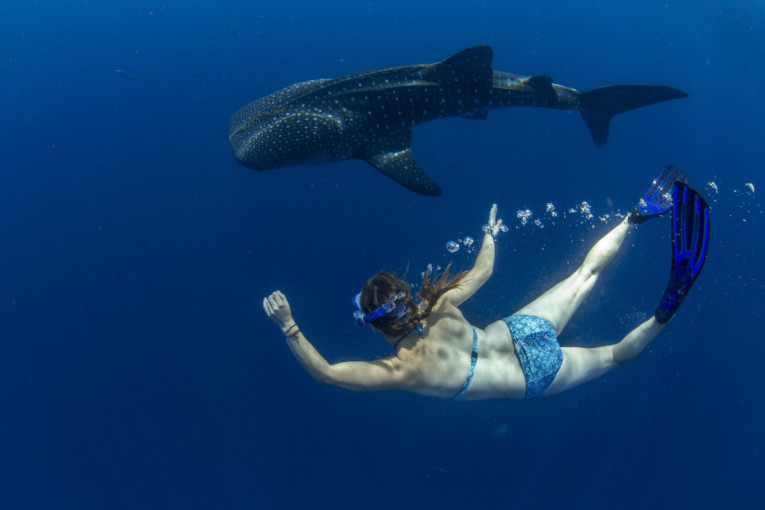 Pravi raj za ronioce: Ovo mesto osvaja putnike nestvarnim prizorima (FOTO)