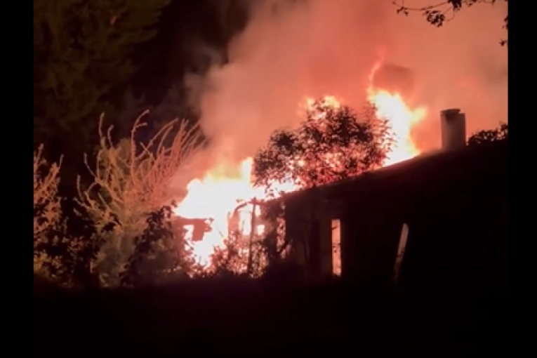 Veliki požar u Novom Sadu! Goreo objekat u Limanskom parku (VIDEO)