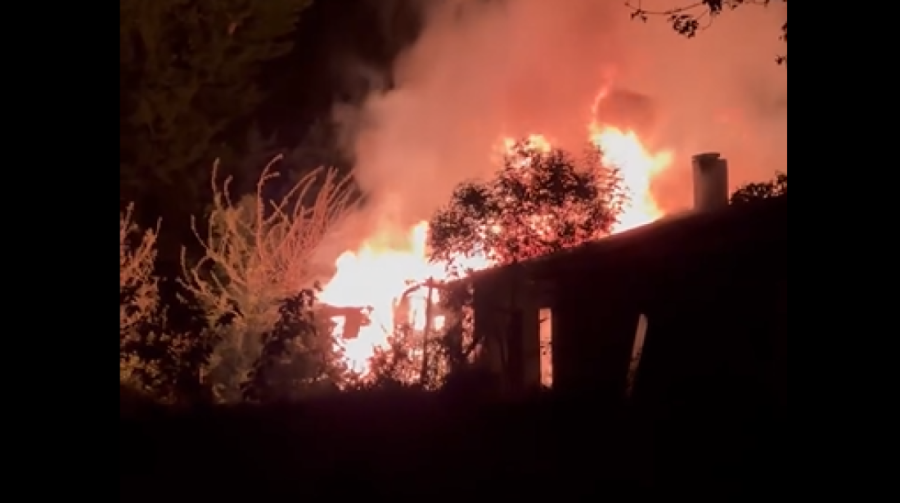 Tragedija na srpskoj planini: Muškarac (41) nastradao kad je drvo palo na njega!