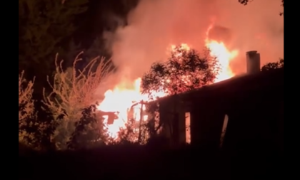 Veliki požar u Novom Sadu! Goreo objekat u Limanskom parku (VIDEO)