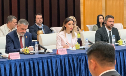 Mesarović na privrednom forumu u Đinanu: Ekonomska i politička stabilnost razlozi zbog kojih Kinezi investiraju u Srbiju