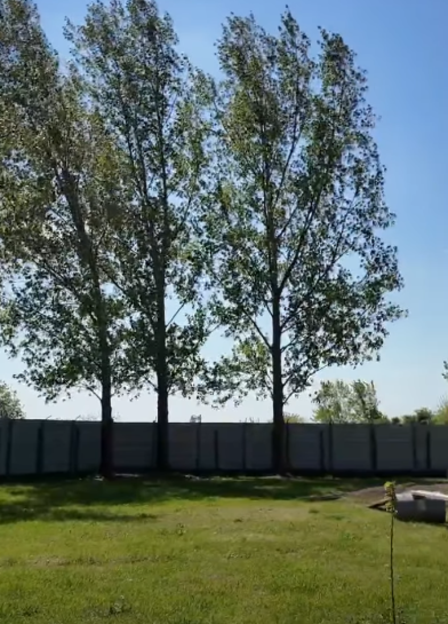 Da li je ovo najbolji azil u Srbiji? Pogledajte kako javno preduzeće u Rumi brine o napuštenim životinjama