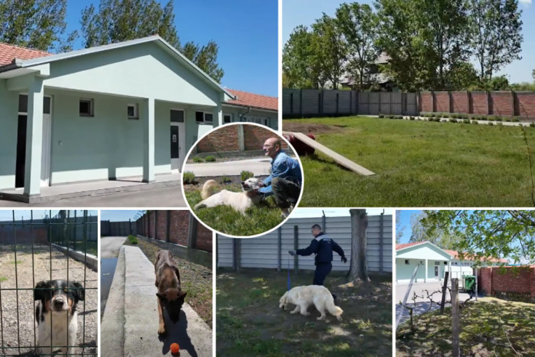 Da li je ovo najbolji azil u Srbiji? Pogledajte kako javno preduzeće u Rumi brine o napuštenim životinjama