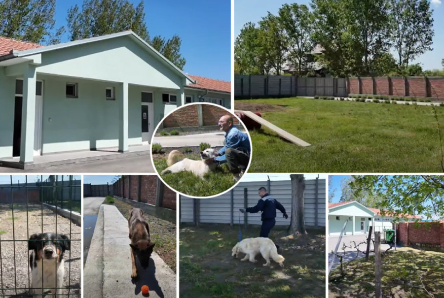 Kamion probio ogradu i prešao u suprotan smer! Haos na auto-putu!