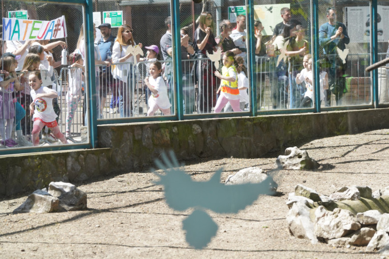Opet Rajović: Srpski reprezentativac i ove godine pobednik trke Beograd - Banjaluka (VIDEO)
